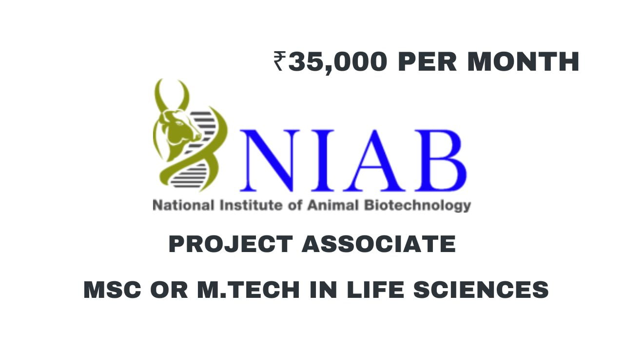 National Institute of Animal Biotechnology Hiring Project Associate