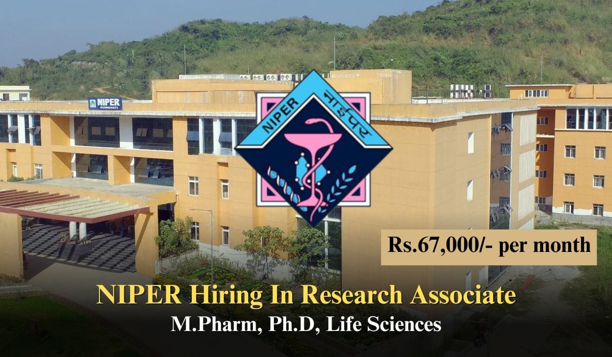 NIPER Hiring In Research Associate